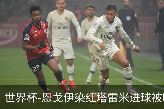 世界杯-恩戈伊染红塔雷米进球被吹 10人比利时0-0伊朗