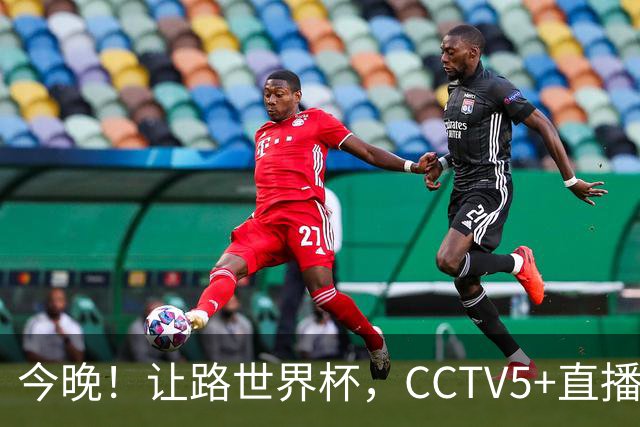 今晚！让路世界杯，CCTV5+直播中国男篮VS荷兰，NBA球员杨瀚森归队